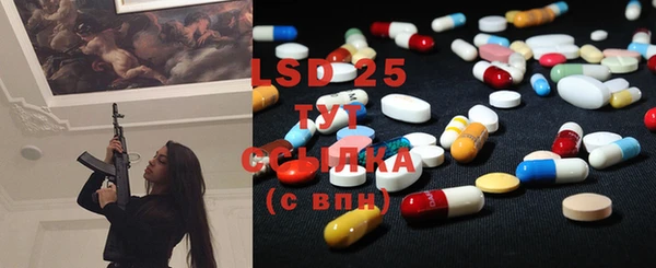 ПСИЛОЦИБИНОВЫЕ ГРИБЫ Вязники