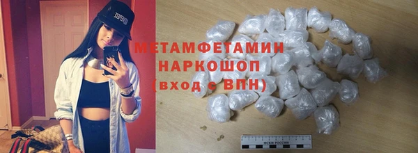 ПСИЛОЦИБИНОВЫЕ ГРИБЫ Вязники