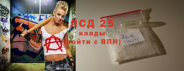 ПСИЛОЦИБИНОВЫЕ ГРИБЫ Вязники
