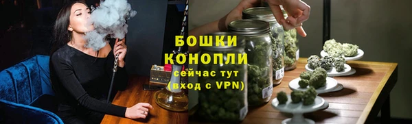 ПСИЛОЦИБИНОВЫЕ ГРИБЫ Вязники