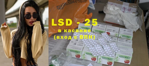 ПСИЛОЦИБИНОВЫЕ ГРИБЫ Вязники