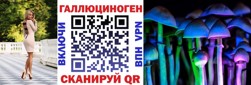 где купить   Норильск  кракен как войти  Псилоцибиновые грибы Magic Shrooms 